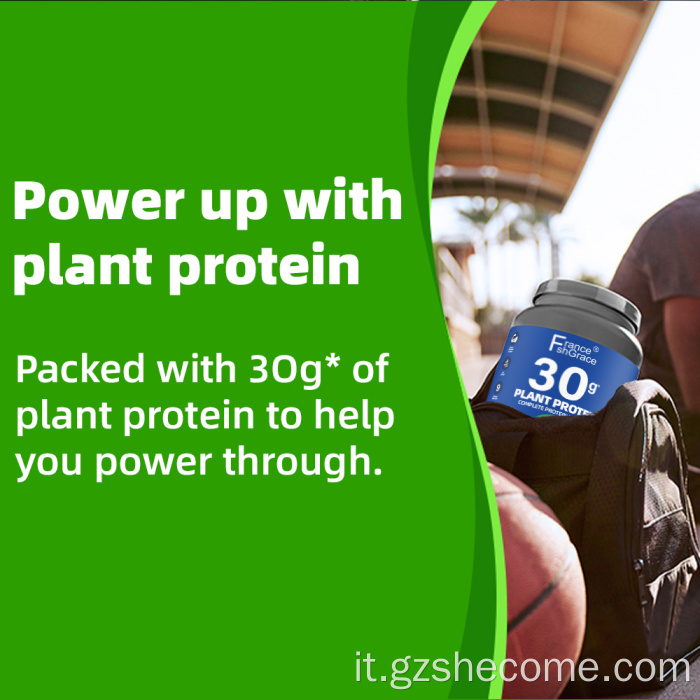 Gli estratti di piante proteici organici supportano la digestione